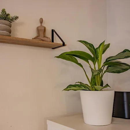 Apartament Le Petit Schilick - Proche Tram - Arrivee Autonome - Commerces A Proximite Schiltigheim